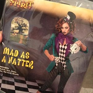 Mad as a hatter costume